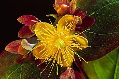 快节奏FPS《Mullet Mad Jack》5月15日登陆Steam 支持试玩