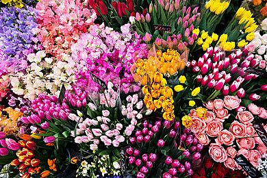 PS VR2正式发布 独占新作《地平线  Call of the Mountain》 预告公开